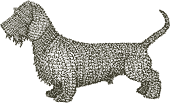 Anti-Art Pets: Fidel's Dachshund Dog, 2007, commission, pitt pen on watercolour paper, 30 x 42 cm.