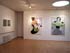Exhibition view, paintings.