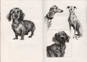 Sketchbook A4-02, 25. Ink drawings (dogs).