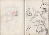 Sketchbook A5-02, 08. Pencil drawings (cows).