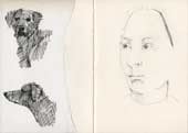 Sketchbook A5-06, 12. Left: ink drawings (dogs). Right: pencil drawings (after Holbein).