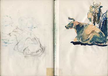 Sketchbook A5-02, 10. Drawings and acrylic sketches (cows).