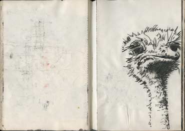 Sketchbook A5-04, 08. Pencil drawing (bird's head).